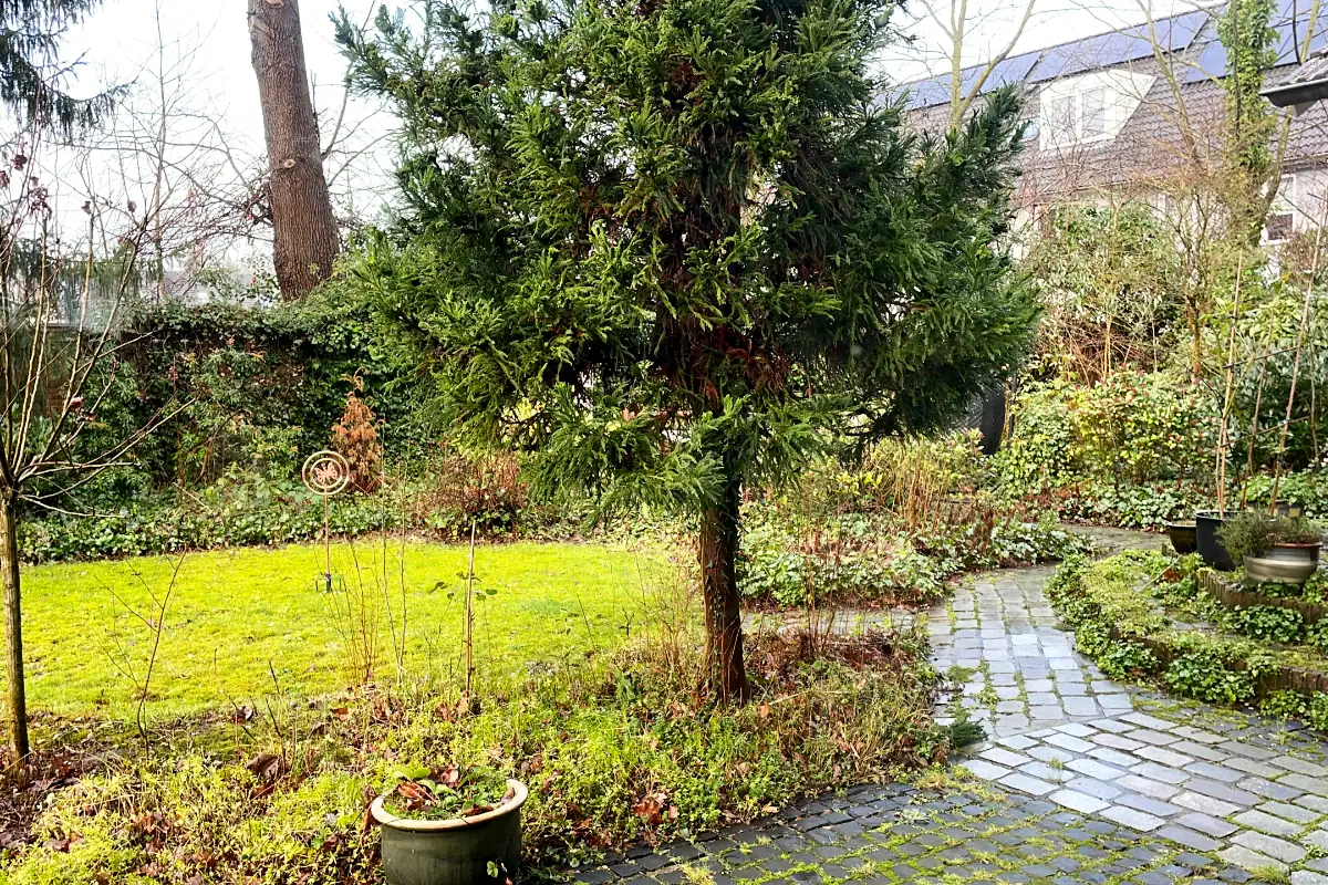 Tuin peter de vet